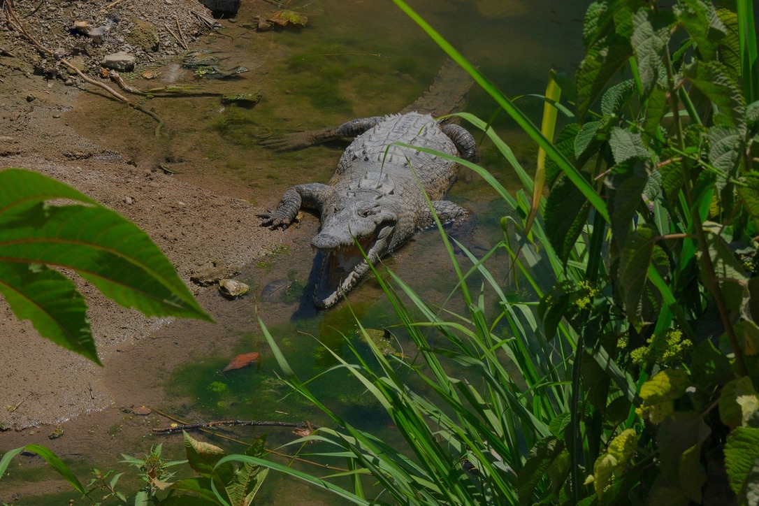Aguas del Estero